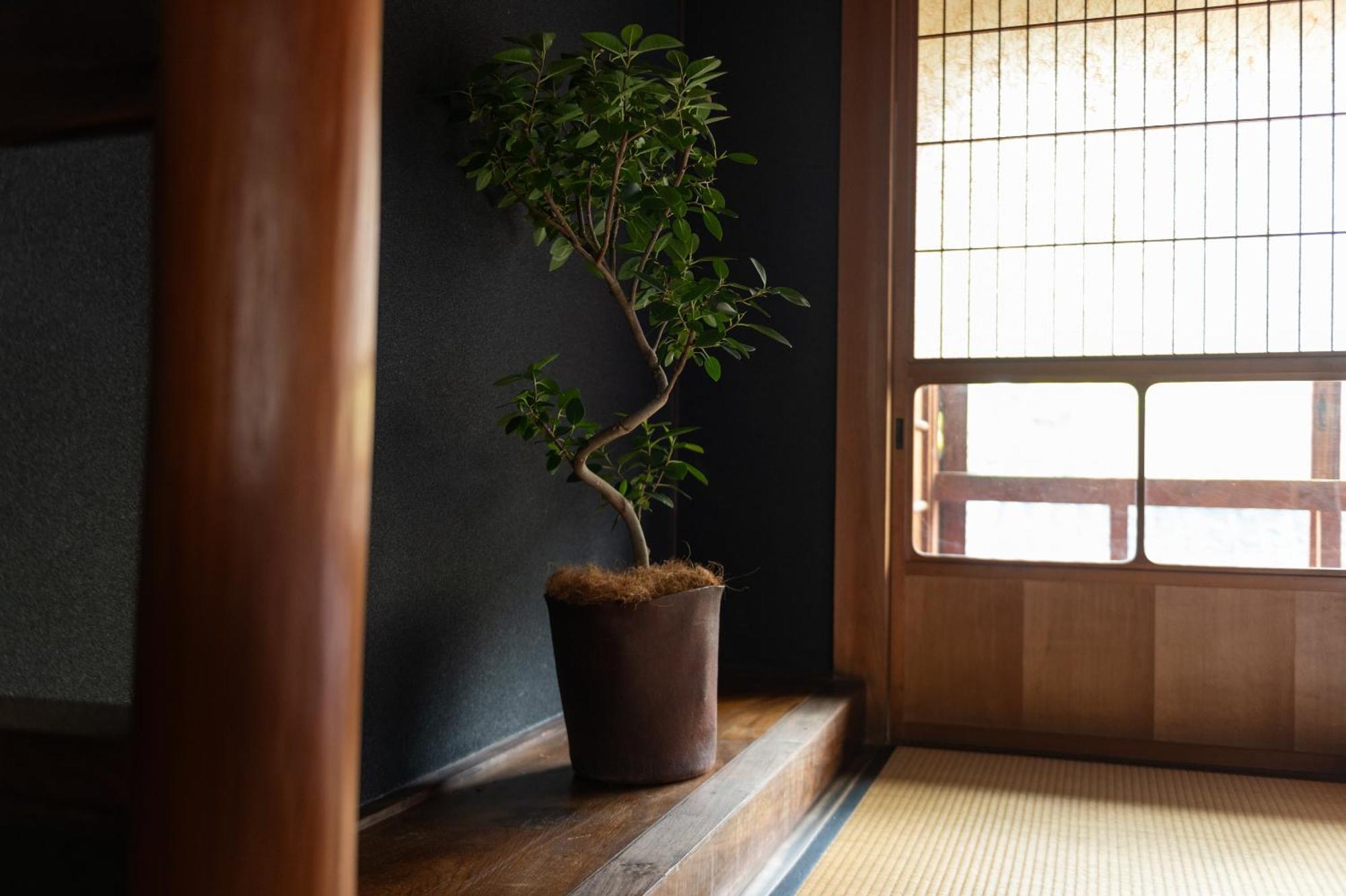 篠山城下町ゲストハウス Quolo Tamba-Sasayama Екстер'єр фото